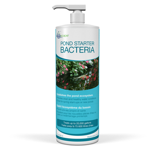 Aquascape Pond Starter Bacteria - 32 oz